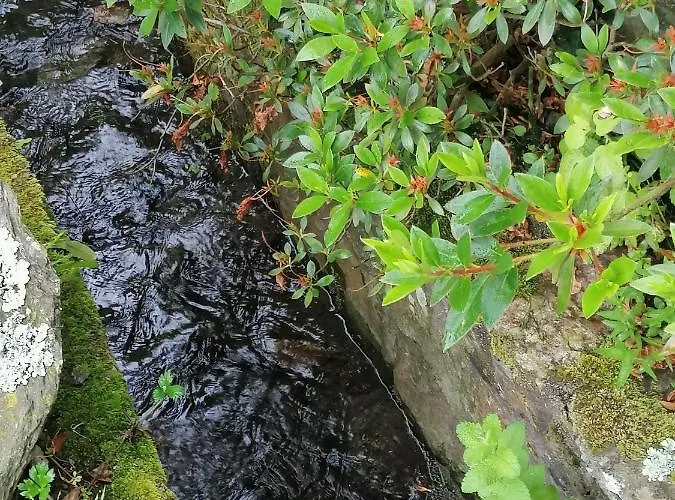Lar Da Mota Boutique Arzúa
