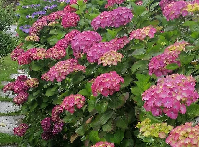 Lar Da Mota Boutique Otel