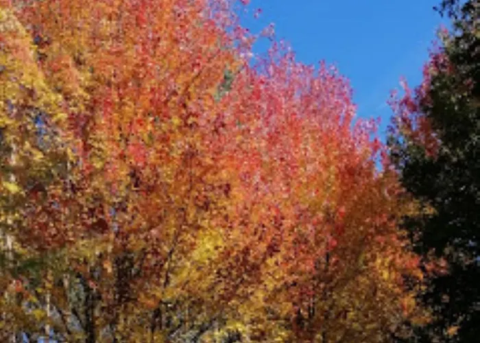 Lar Da Mota Boutique 酒店 2*