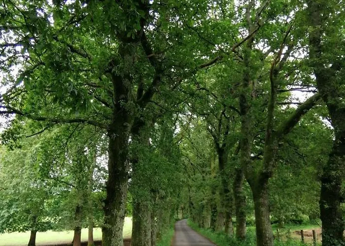 Lar Da Mota Boutique