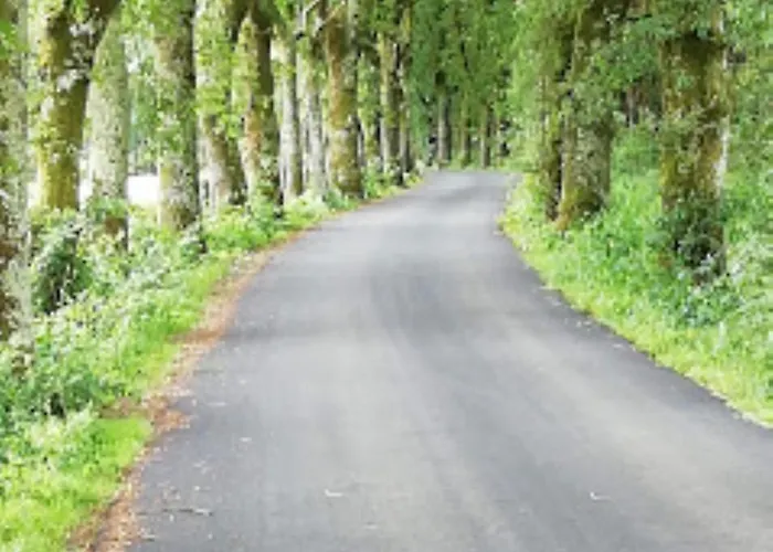 Lar Da Mota Boutique 2*