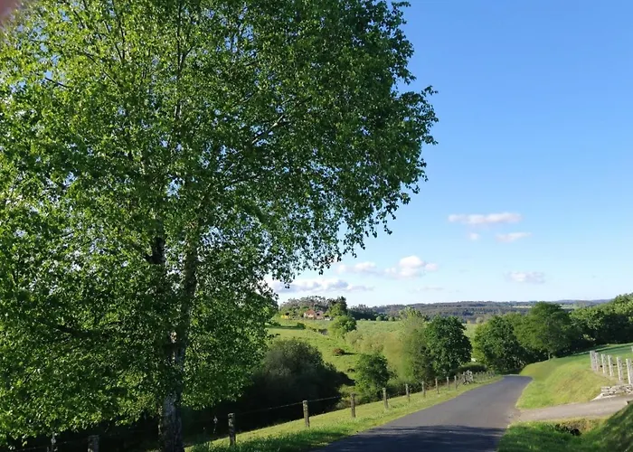 Lar Da Mota Boutique Otel